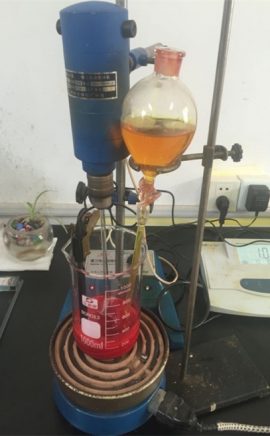 ปฏิกิริยาคลัป