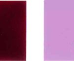 รงควัตถุรุนแรง-19 สี