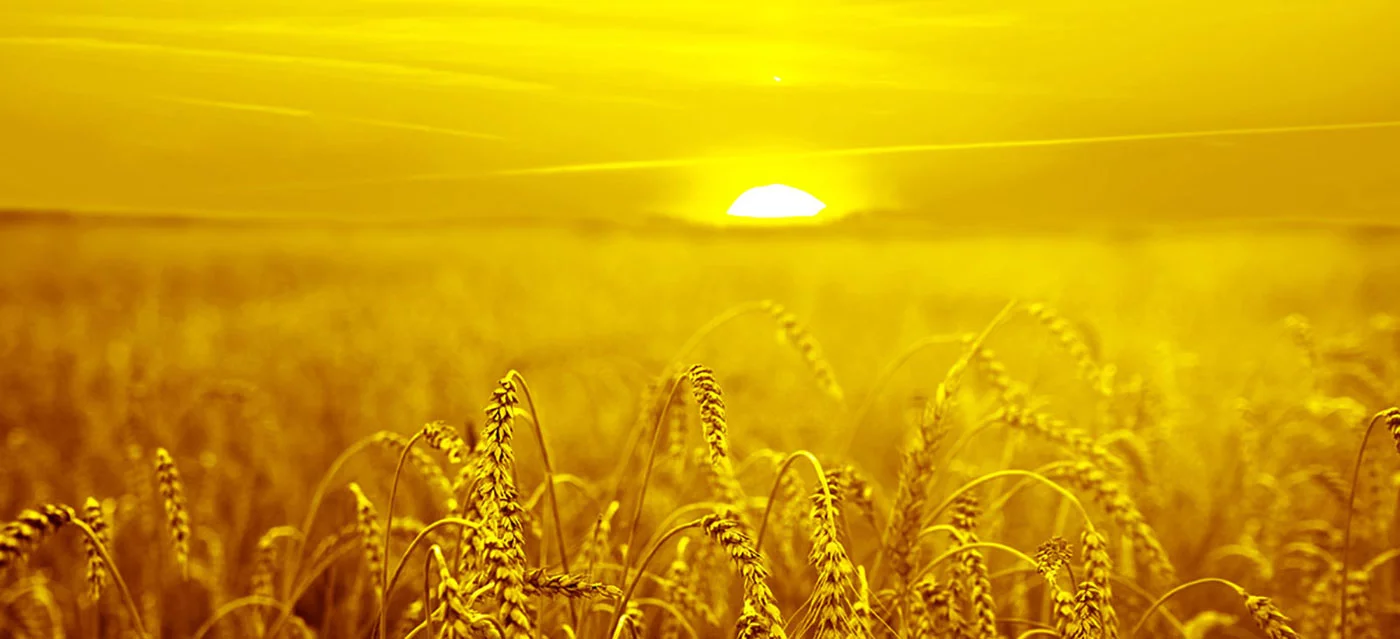 เราชอบนำเสนอโซลูชั่นสี